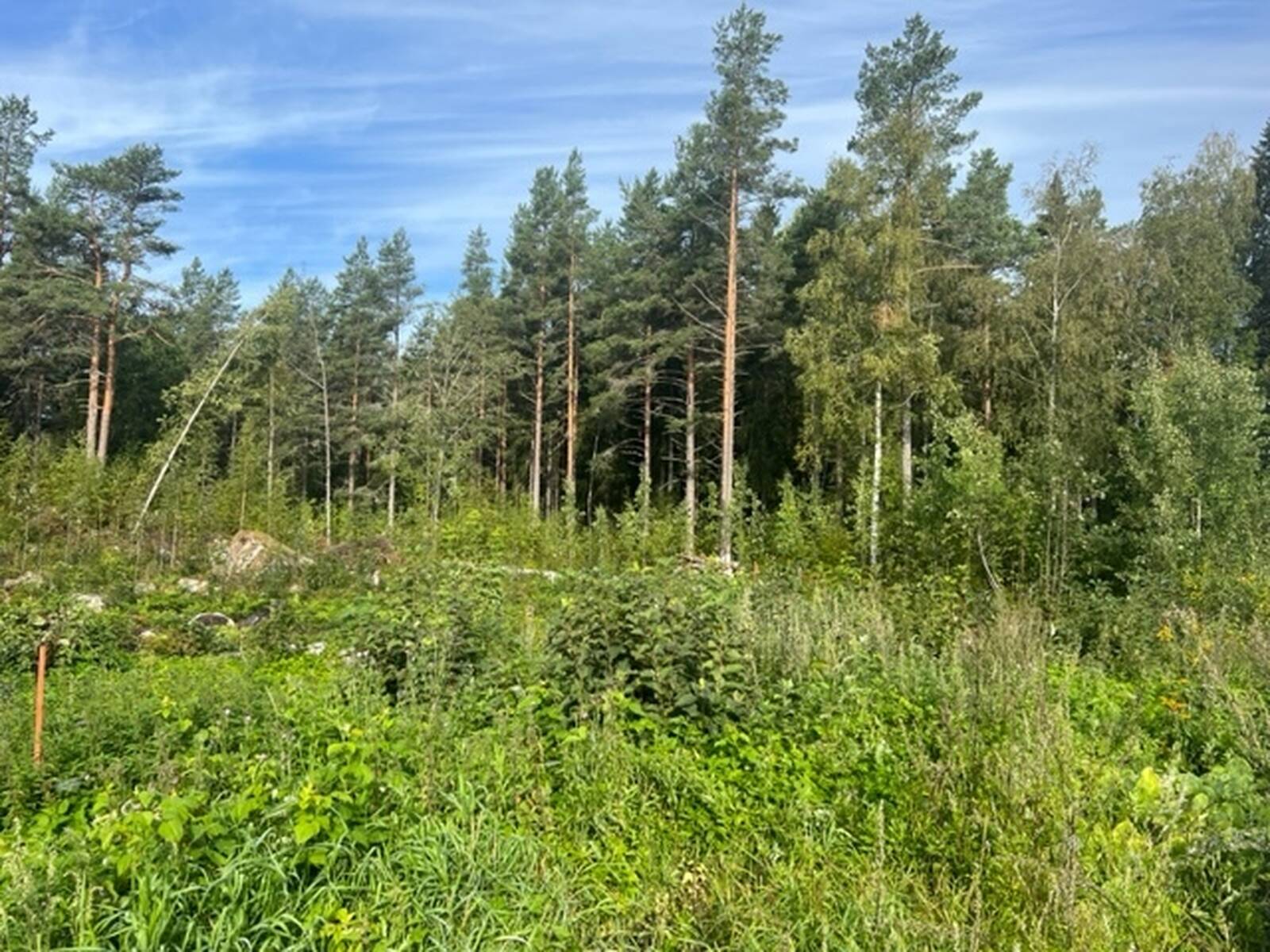 Tomten, Övrigt
