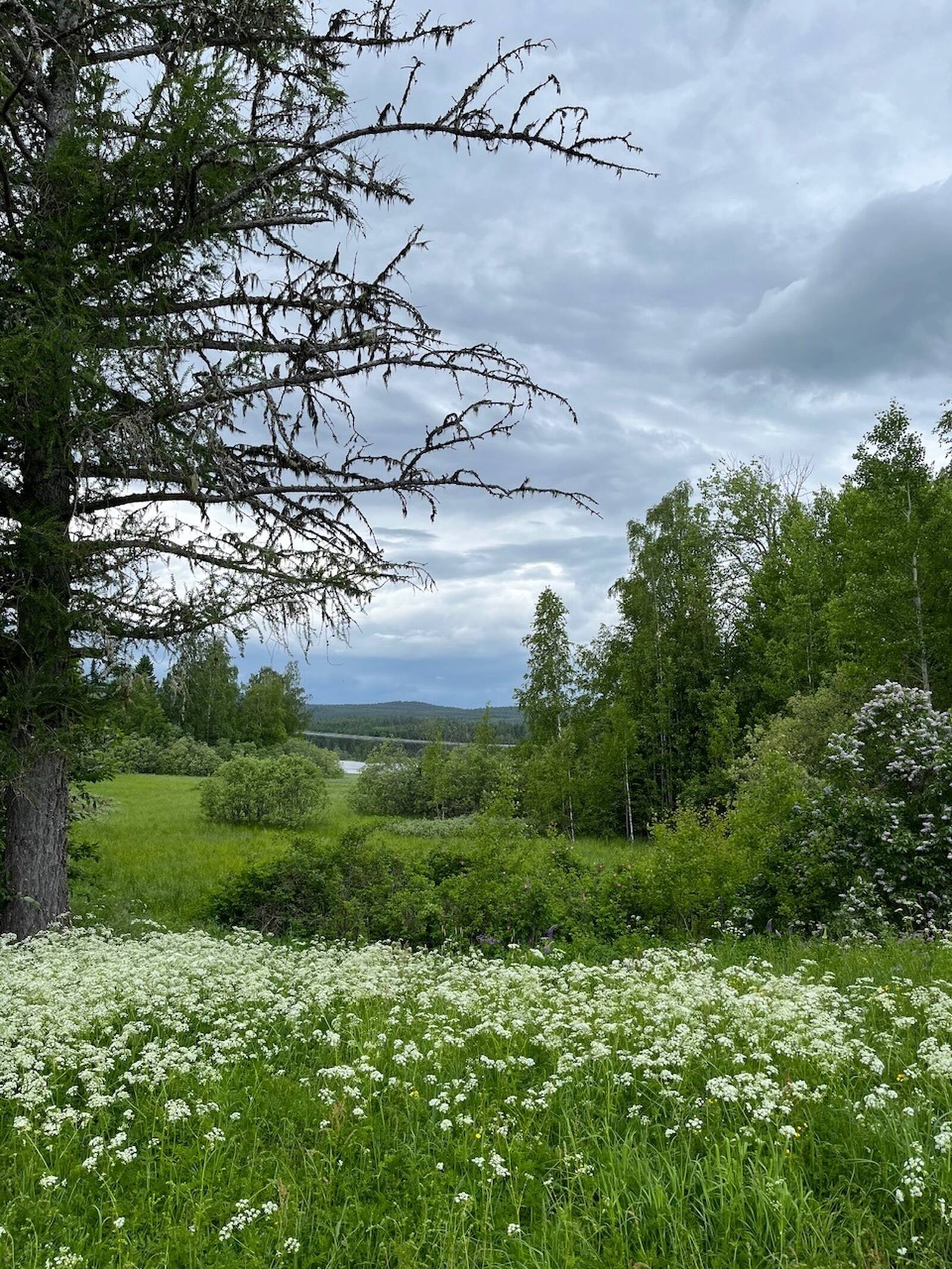 Säljarens sommarbilder, Övrigt