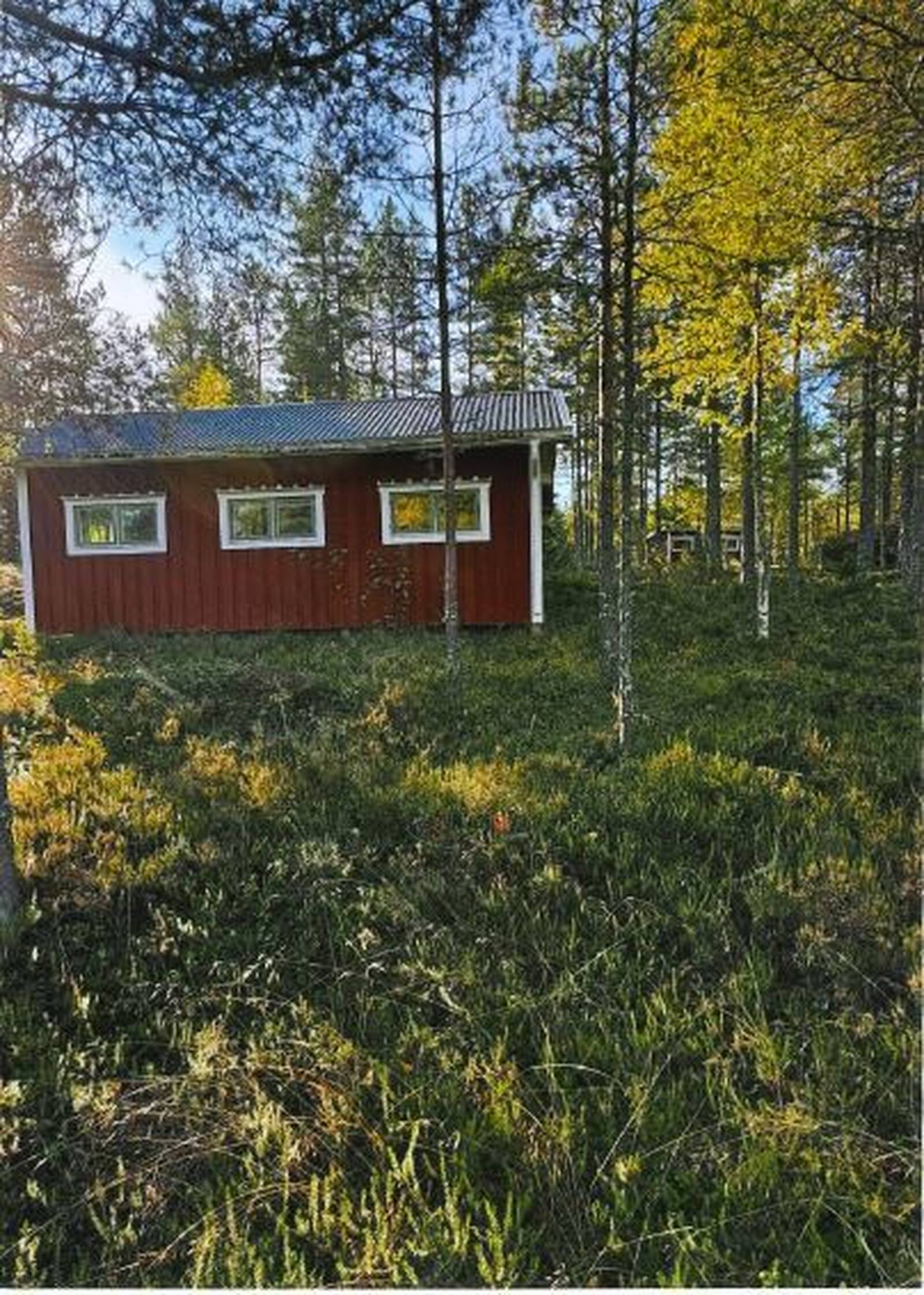 Exteriör, Övrigt