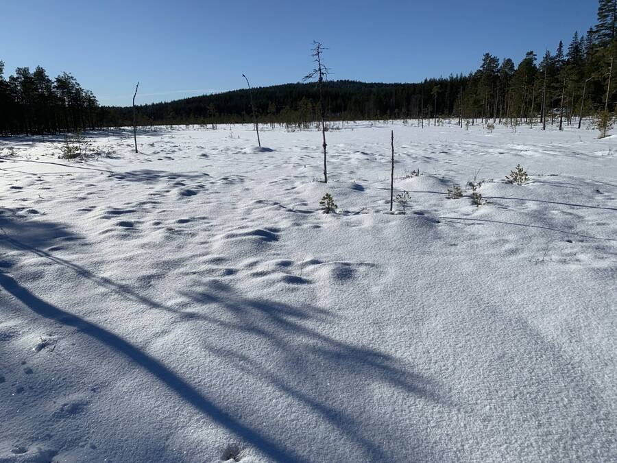 Omgivningar vintertid