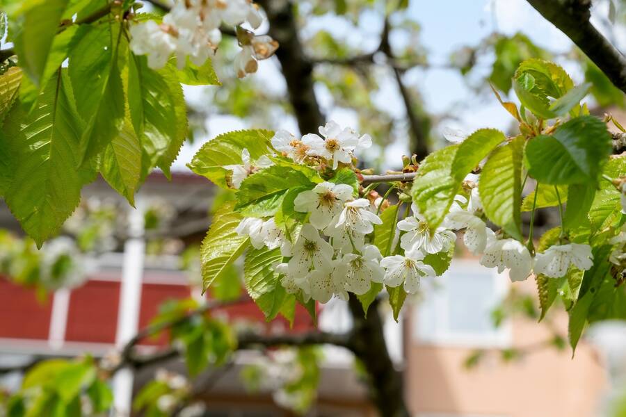 AP_perfectshot_Majrov.35-67_web