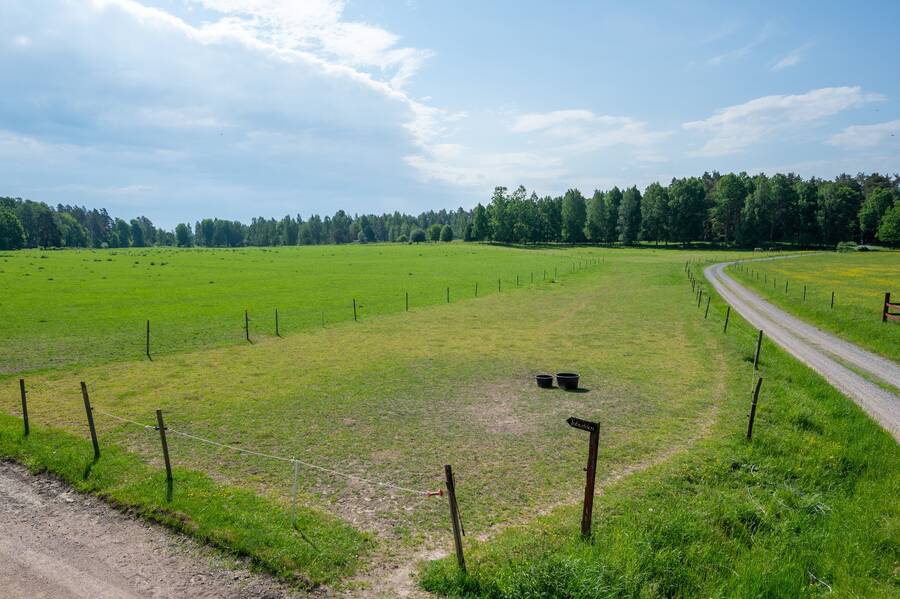 Väg från trädgård mot sjön