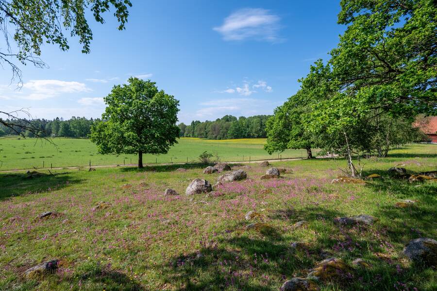 Ekskogen