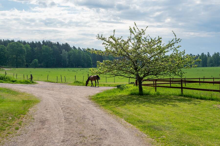 Generösa beteshagar