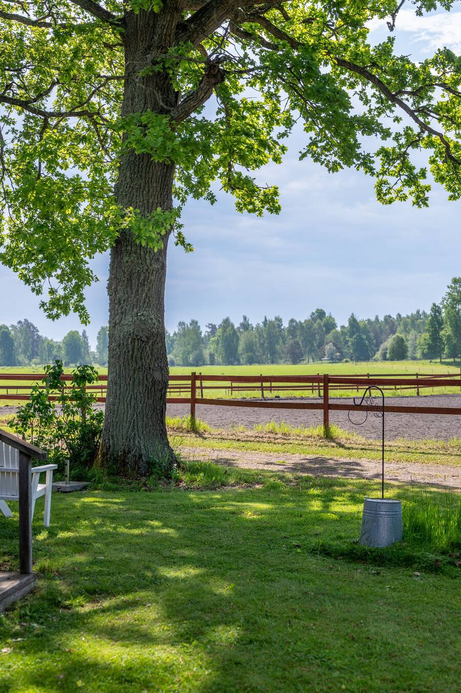 Trädgård vid gäststuga