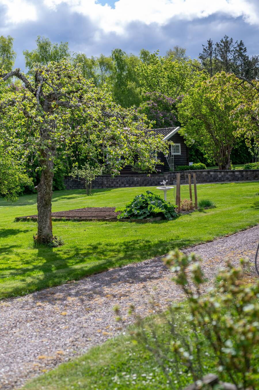 Vacker grusgång i trädgård