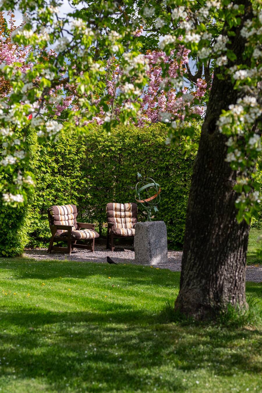 Avkopplande del i trädgård