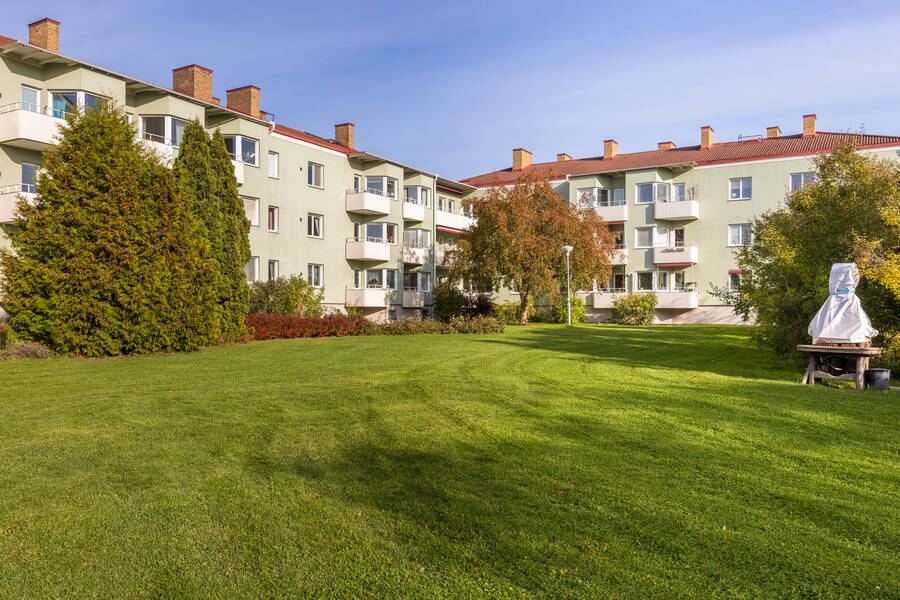 Föreningens stora innergård