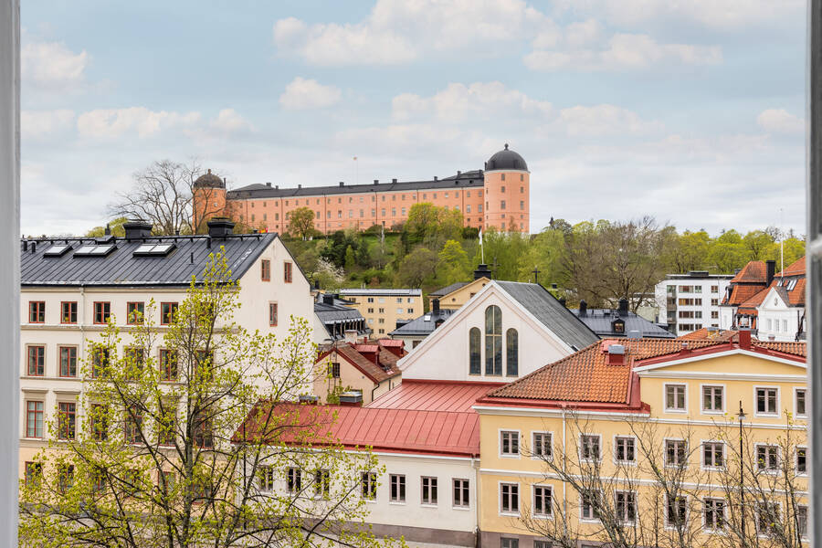 Utsikt mot Slottet