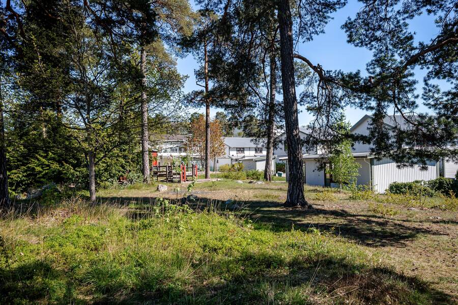 Skogspartiet utanför