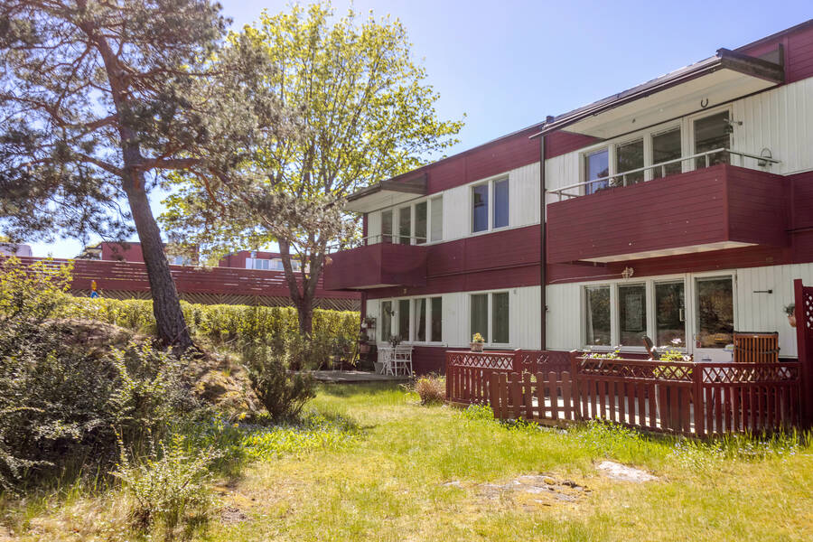 Gräsmatta och skog utanför uteplatsen