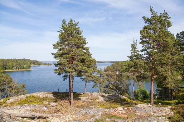 Utsikt över Edöfjärden