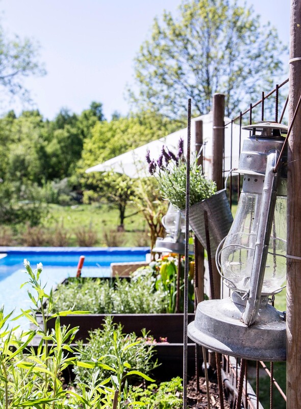 I pallkragar odlas kryddor och annat ätbart