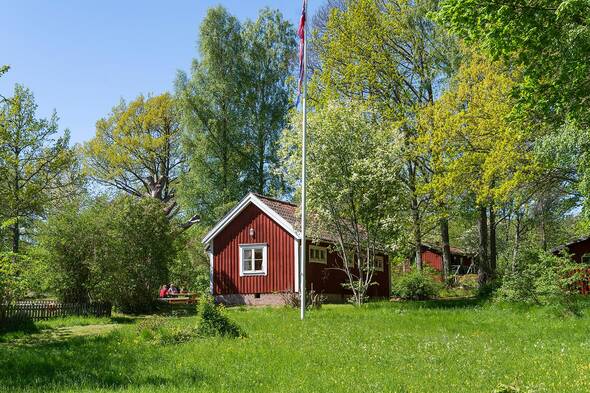 Inbäddat i grönska