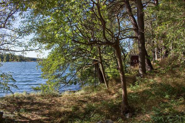 Fin utsikt och lång strandlinje