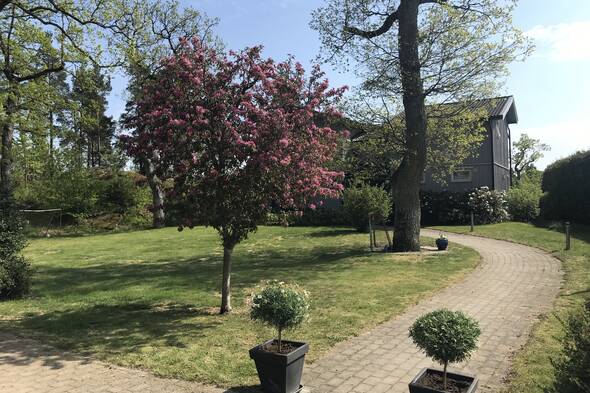 Välskött blommande trädgård