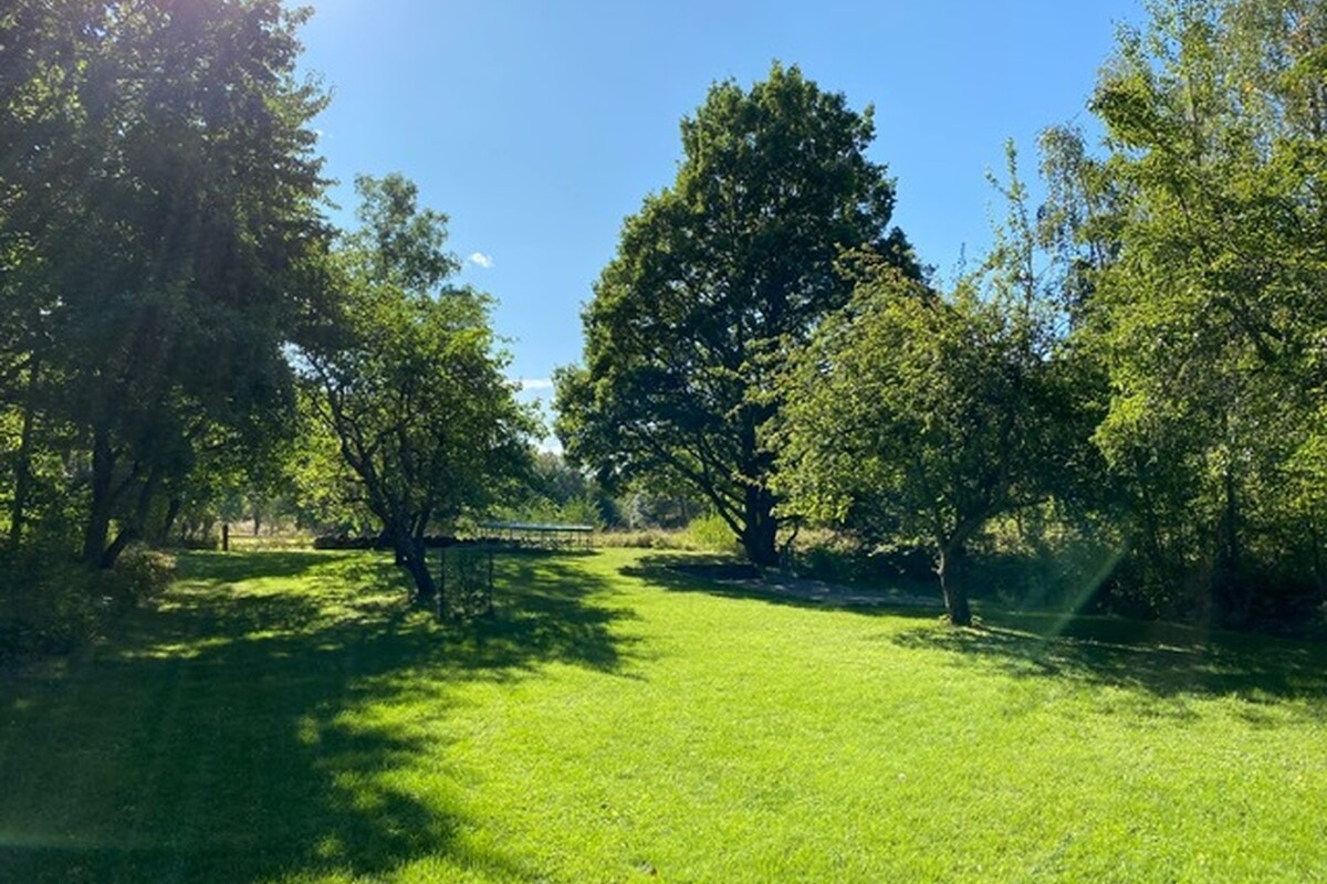 Grön skön oas för lek och spel