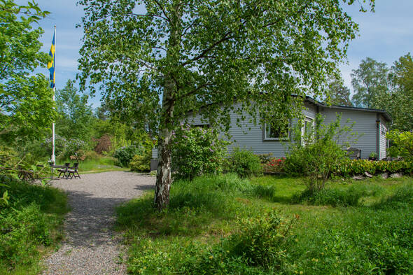 Rart hus på grönskande tomt