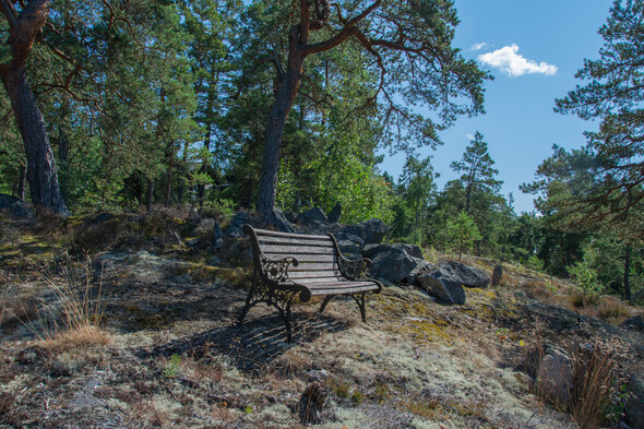 Bygger man högst upp på tomten får man magisk utsikt och sol hela dagen