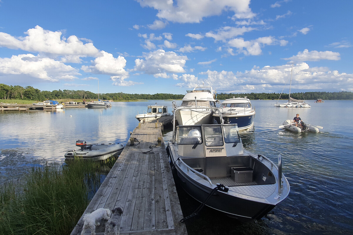 Brygga som delas med en annan fastighet