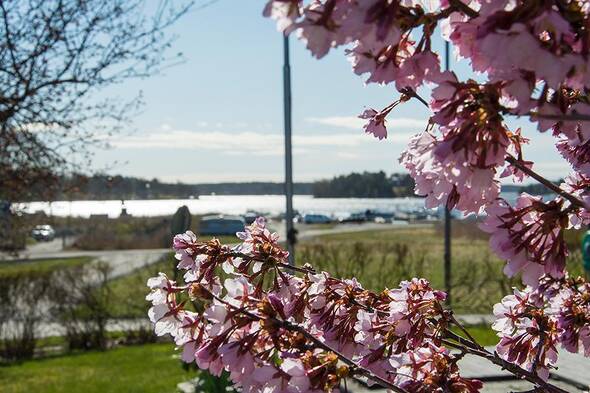 Utsikt från entrén