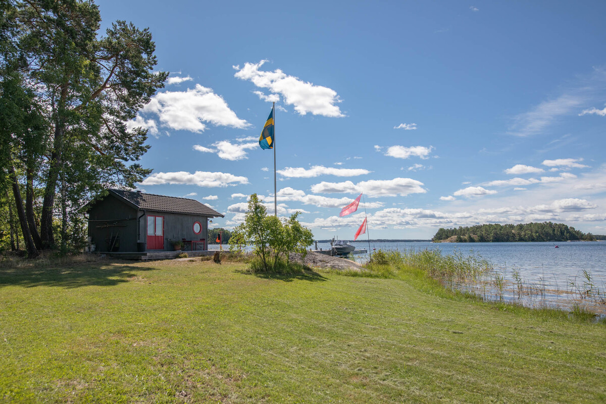 Plan fin yta vid strandlinjen