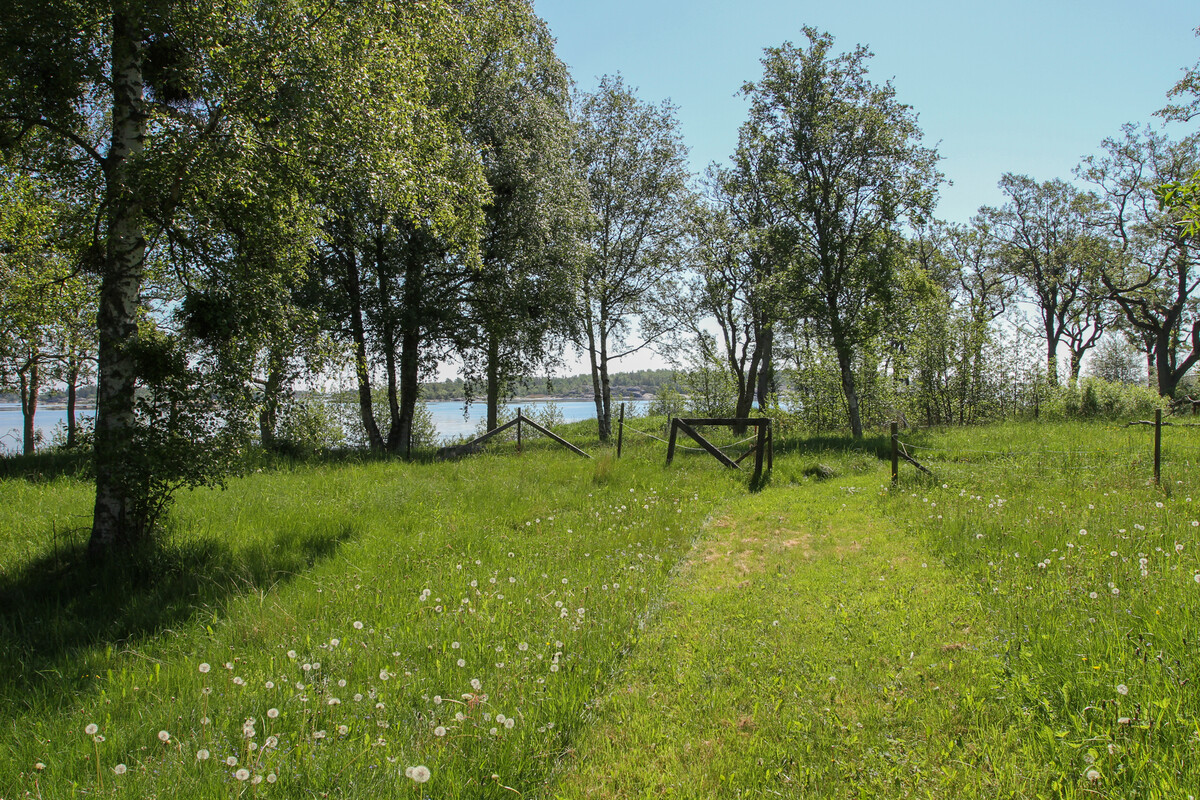 Väg ner till bryggan
