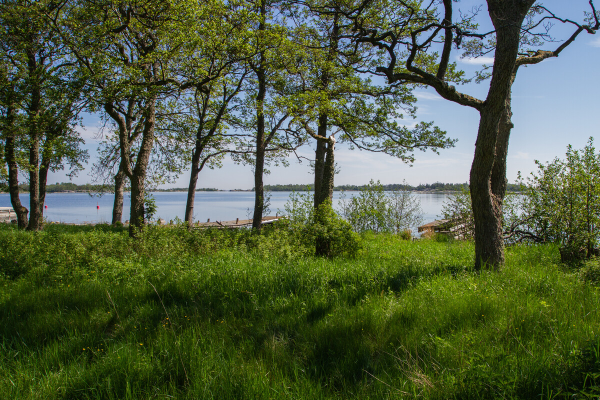 Brygga vid stranden nedanför