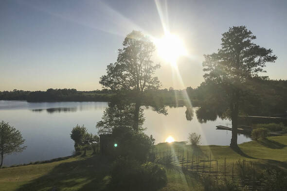 Kvällssol juni 19.52