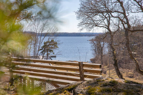 Övre delen av tomten