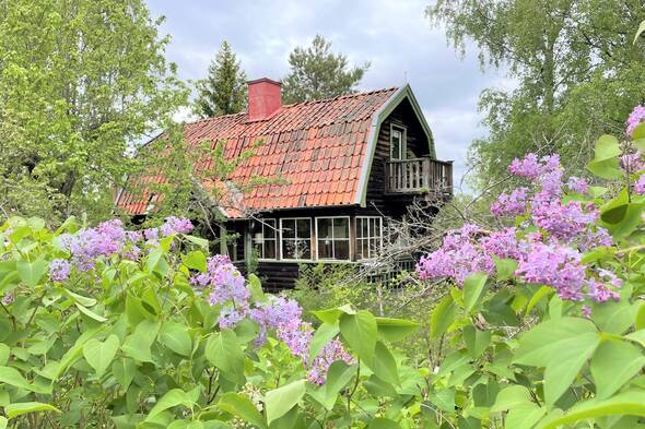 Välkomna