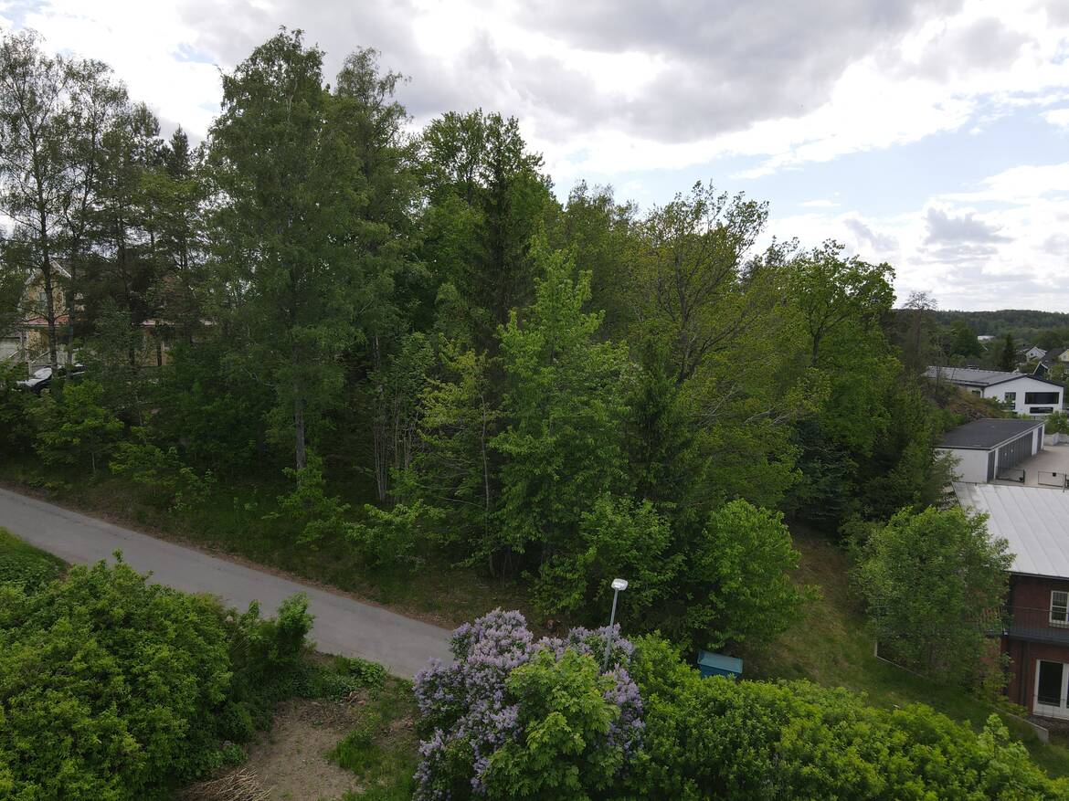 Skogsområde i sluttning