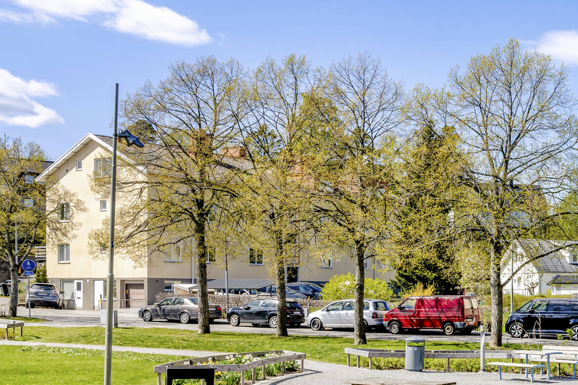 Från Palmérsparken