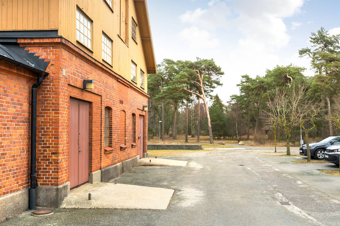 Södra gaveln mot skogen