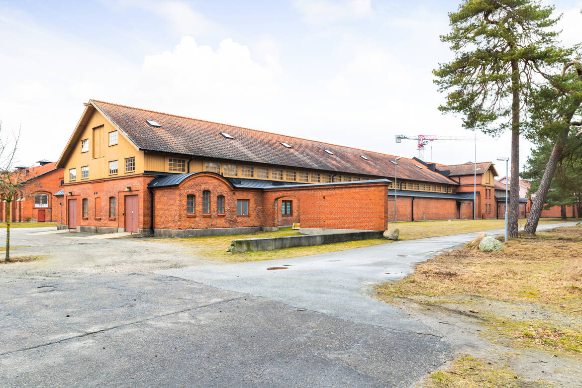 Östa långsidan mot skogen