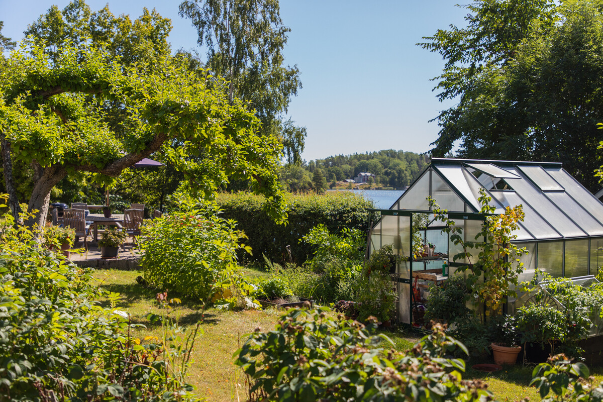 Plats för odling