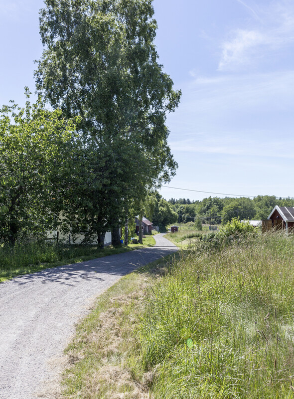 Vägar på ön