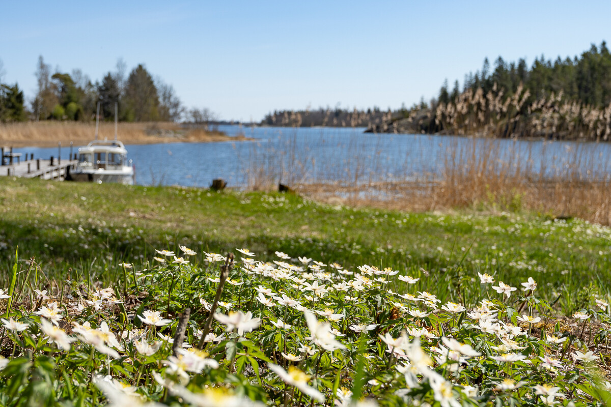 Vy över viken österut