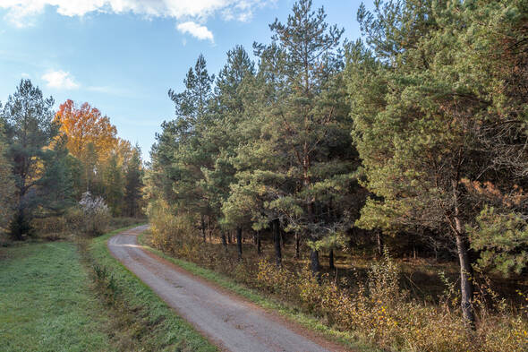 Tomten till höger