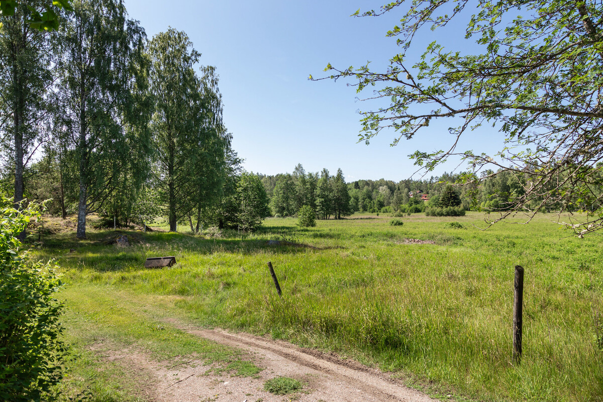 Ängar och hagar som omsluter fastigheten