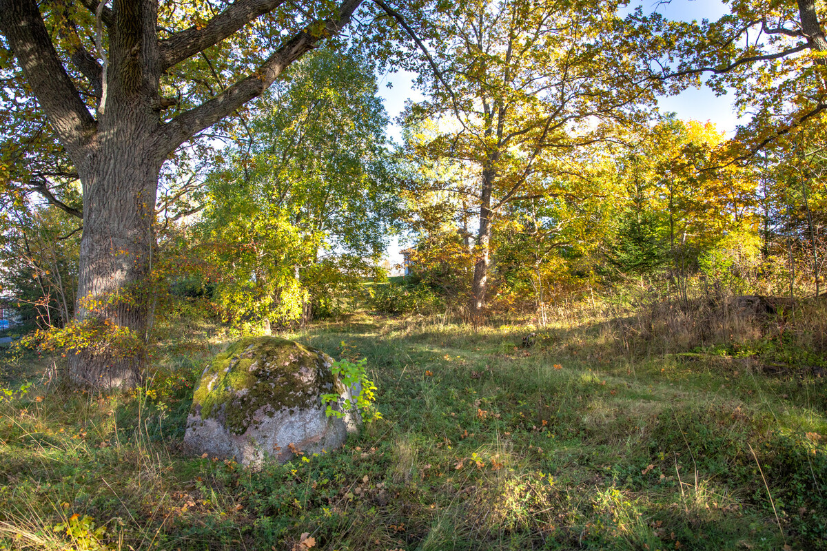 Välkommen på visning