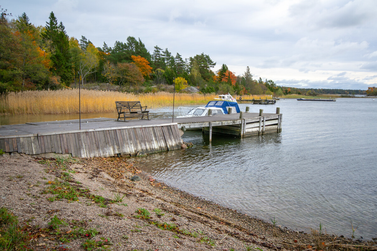 Stranden och bryggan
