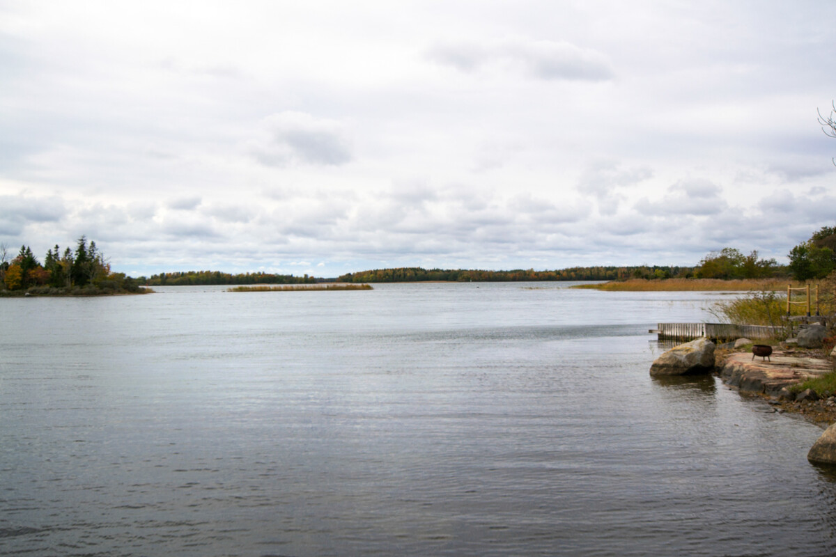 Utsikt i väster från bryggan