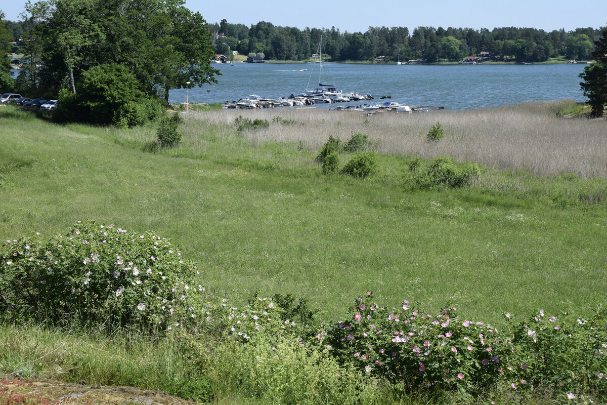Utsikt över båthamnen