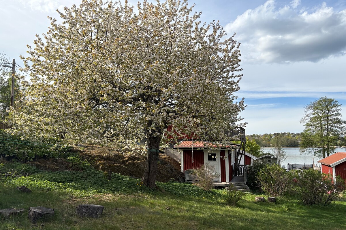Ljuvlig trädgård