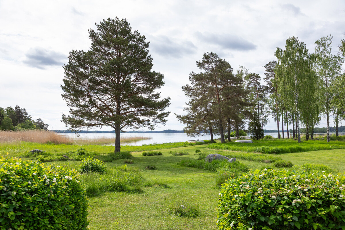Allmänning framför tomten