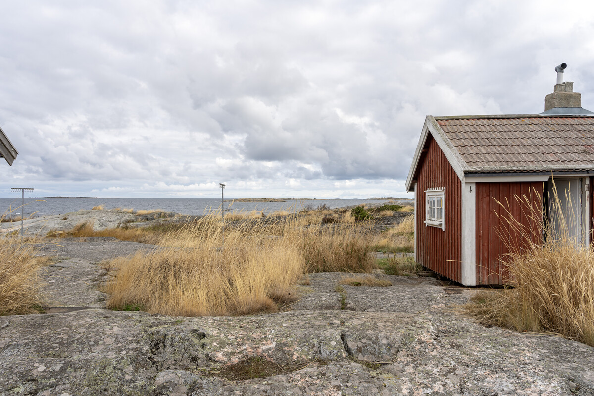Fritt mot öster