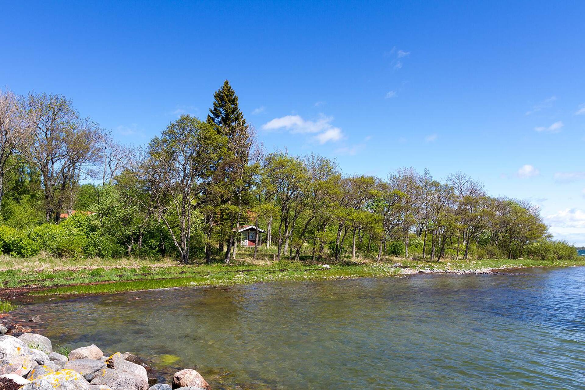 Hardkor orgazmlar Butun oila onlayn porno bilan zavqlanmoqda