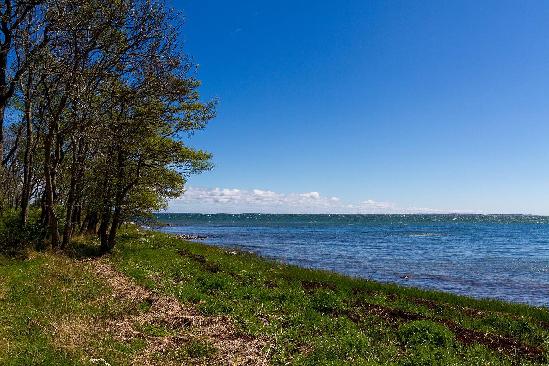 Qisqa sochli xizmatkor bilan jinsiy aloqa Yalangoch Kristina Sokolovskaya
