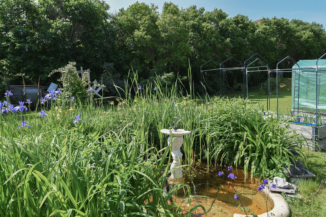 Fontän i trädgården Fontän i trädgården